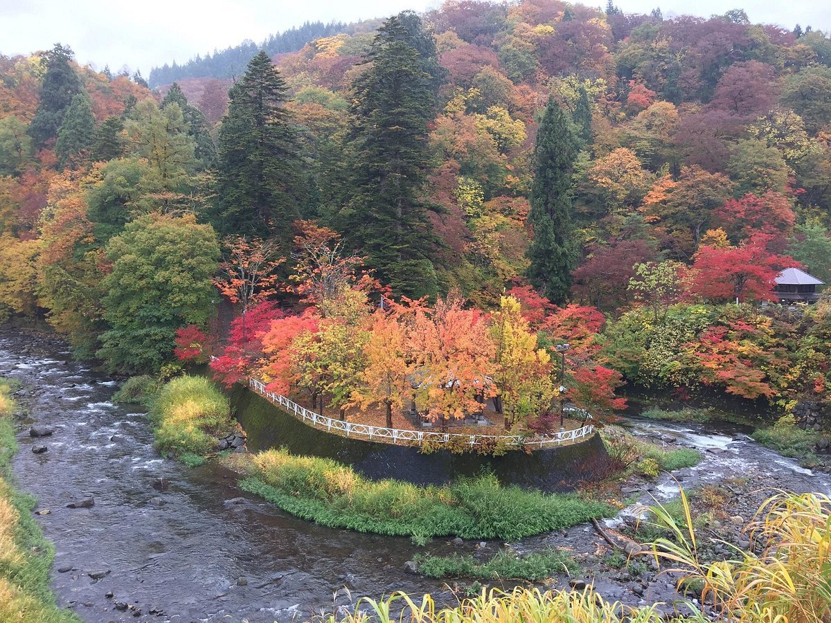 🏛️ 나카노 제로(모미지야마 문화센터) 이미지 9